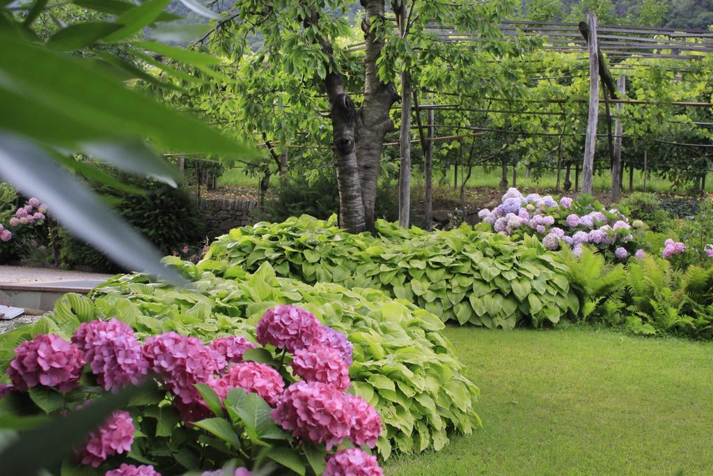 Apartments Gasserhof Lagundo Ngoại thất bức ảnh